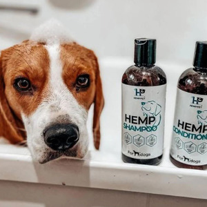 Hemp Seed Dog Shampoo 250ml | Hemp Pet