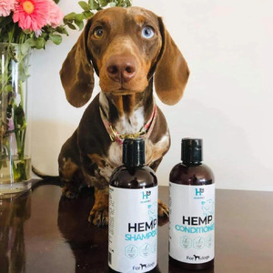 Hemp Seed Dog Conditioner 250ml | Hemp Pet