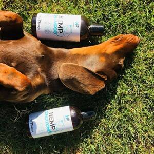 Hemp Seed Dog Shampoo 250ml | Hemp Pet