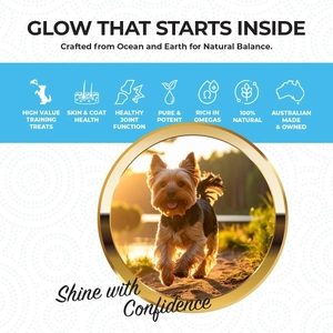 Skin & Coat Support | New Zealand Hoki Fish Hemp Infused Treats for Dogs 70g