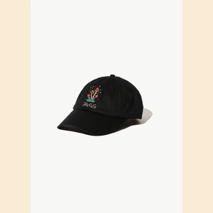 Journey Inward - Hemp 6 Panel Cap - Black - OS