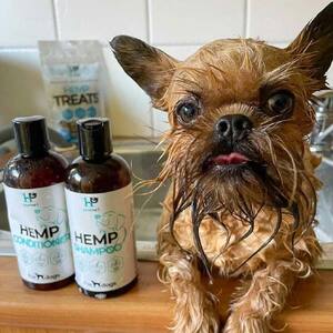 Hemp Seed Dog Shampoo 250ml | Hemp Pet