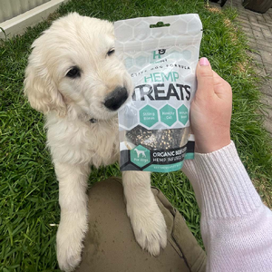 Vitality Support | Hemp Infused Organic Beef Liver Treats for Dogs 80g