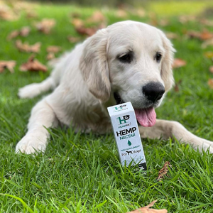 Immune Support | Hemp Seed Nectar for Dogs