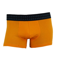 Bamboo Trunks