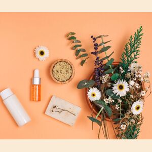 The Woman Who Made Hemp Beautiful: Honouring Anita Roddick’s Skincare Legacy