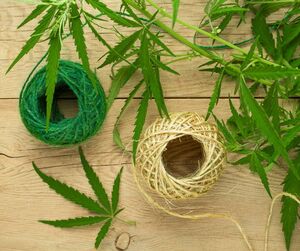 Why Supporting Hemp Matters – Even If It’s Made in China